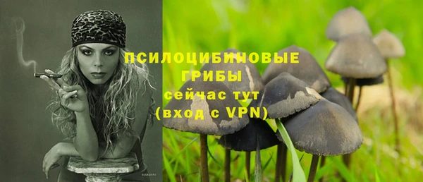 ешки Гусиноозёрск