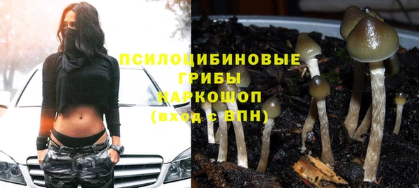 метамфетамин Гусев