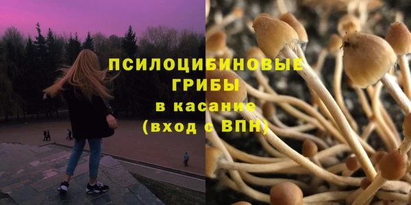 ешки Гусиноозёрск